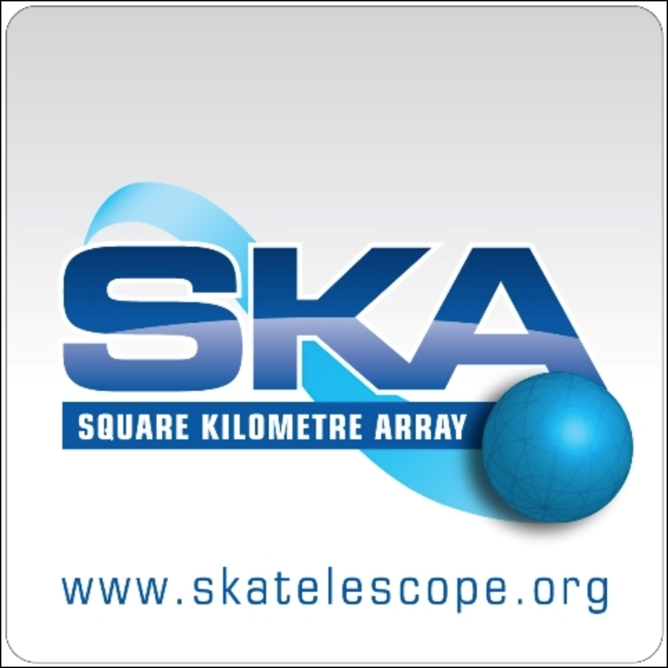 ska logo