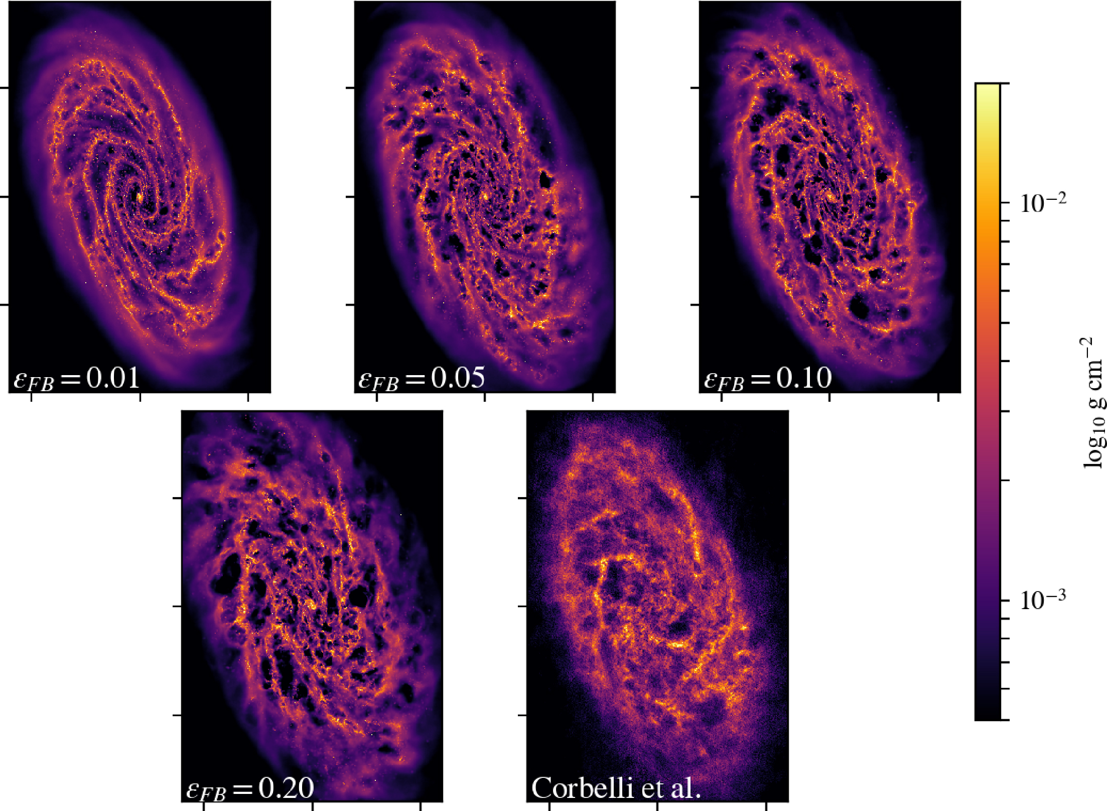 Edvige Figure3